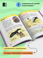 Дикие животные (Энциклопедия для детского сада)