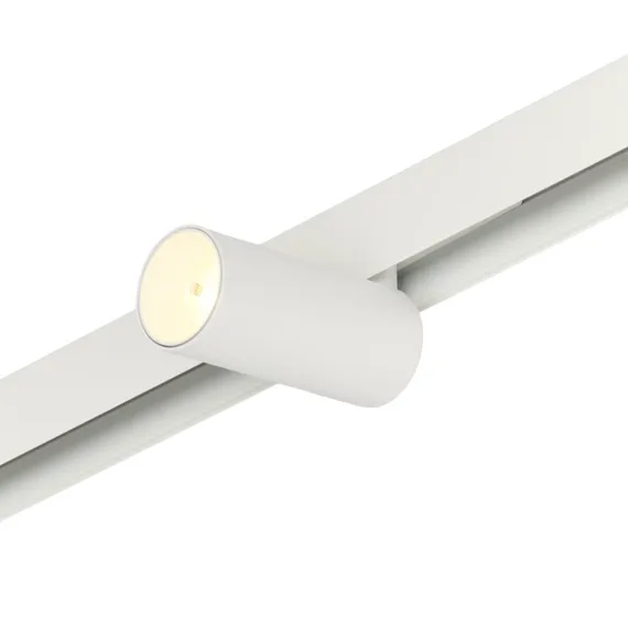 Трековый светильник Ray MT0220-12W3K-W MyFar