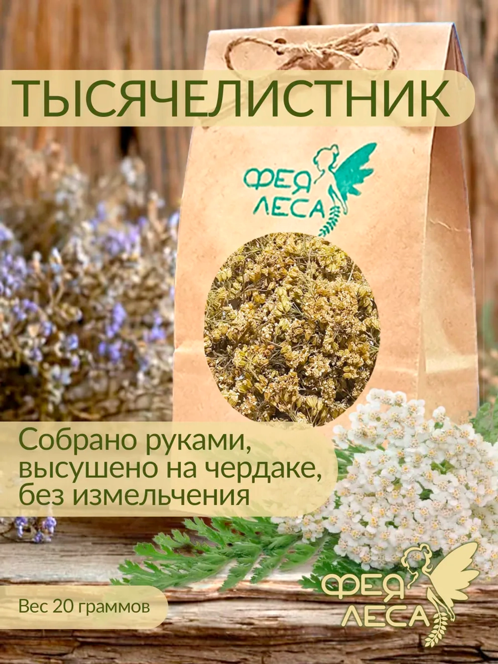 Тысячелистник соцветия для чая, свечей и магии