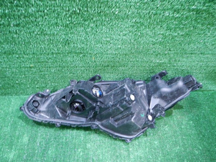 DSCN0195.JPG