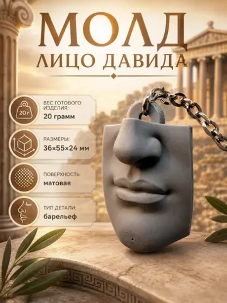 Силиконовая форма давид лицо
