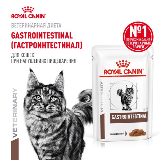 Royal Canin Gastro Intestinal S/O Feline диета для кошек при нарушениях пищеварения (Пауч) 85 гр