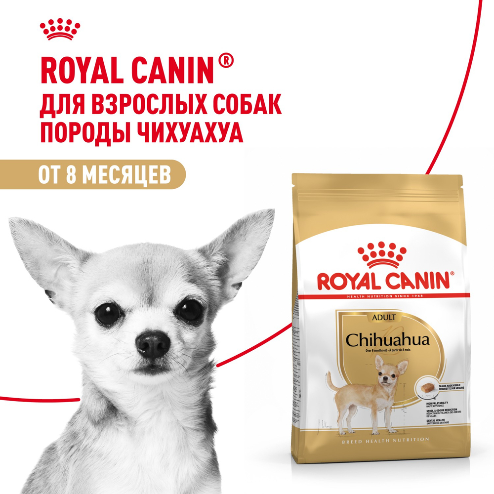Royal Canin Chihuahua Adult Чихуахуа Эдалт Корм сухой для взрослых собак породы Чихуахуа от 8 месяцев 1,5кг