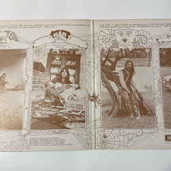 Винтажная виниловая пластинка LP Savoy Brown Looking In (Англия 1970)
