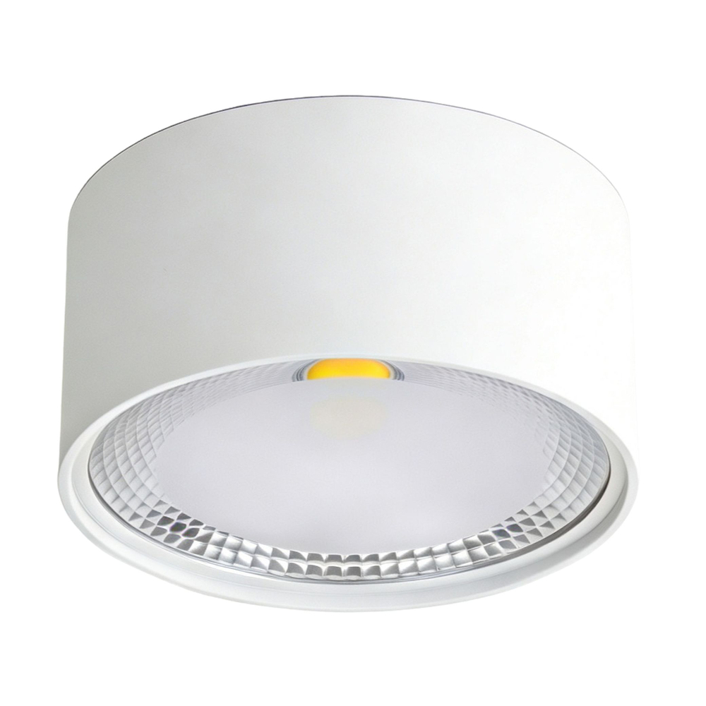 Светильник точечный накладной Wertmark Technical Altair WTA.O02.007.V0.18