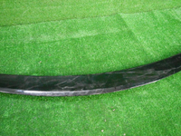 DSCN2994.JPG
