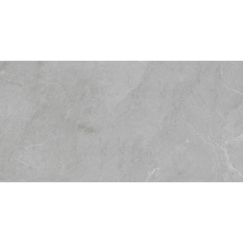 BARCELONA LIGHT GREY 60x120 5мм MATT