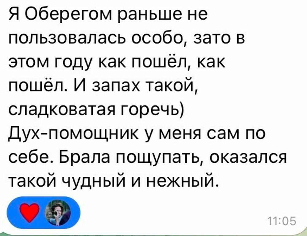 Дух-помощник