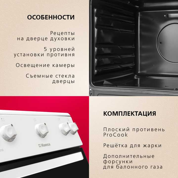 Газовая плита Hansa FCGW510009H