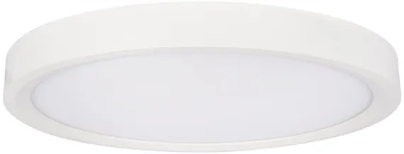 Потолочный светильник Extraslim 10227/24 White Loft It