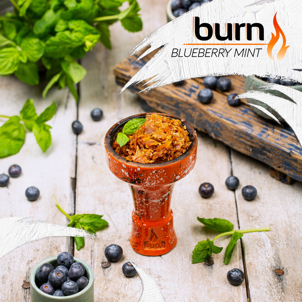 Burn - Blueberry Mint (25г)