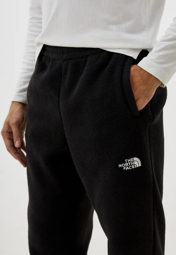 Брюки спортивные мужские THE NORTH FACE M TNF FLEESKI PANT