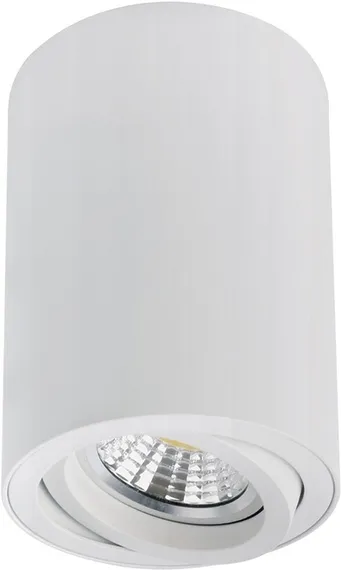 Точечный светильник Sentry A1566PL-1WH Arte Lamp