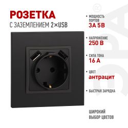 Розетка ЭРА Elegance 14-4109-05 2P+E 16A-250В штор. с 2xUSB 5В-3А антрацит | Эра Elegance
