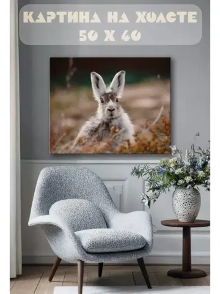Картина на стену 40 X 50 Заяц