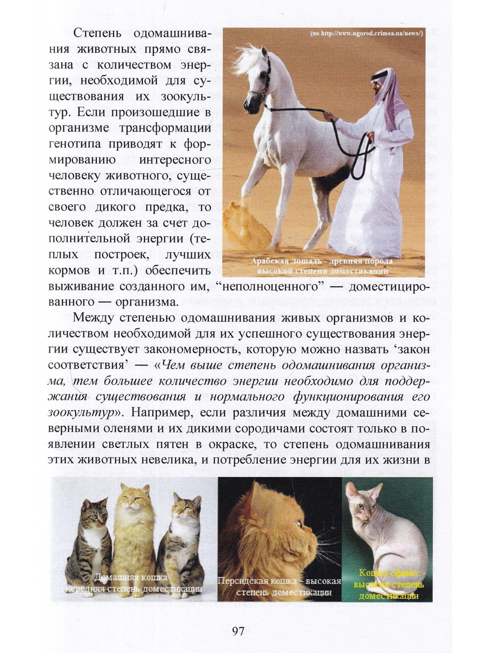 Учение о породе как часть теории зоокультур
