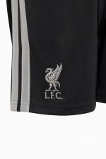 Шорты adidas Liverpool FC 26/27 3rd Junior - черный