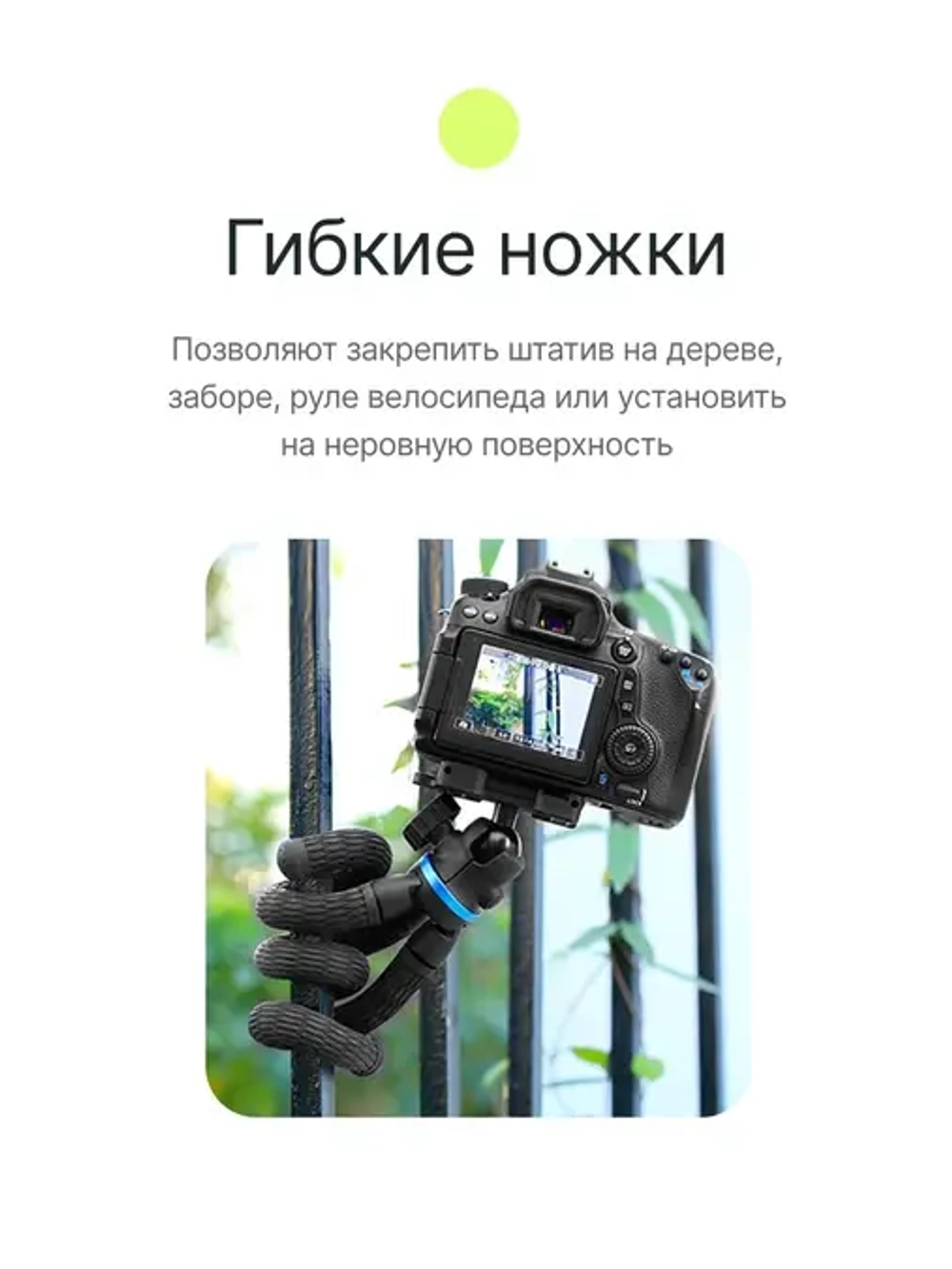 Штатив компактный RayLab MTF-SCB с головой и держателем для смартфона