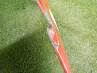 DSCN8361.jpg