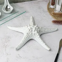 Блюдо для подачи 24 см h6 см для закусок Звезда Gray Starfish Frutti di Mare P.L. [1]