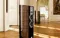 Dali Epicon 6 Walnut