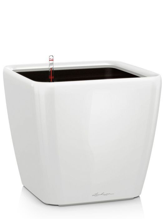 Lechuza Quadro LS Complete 35