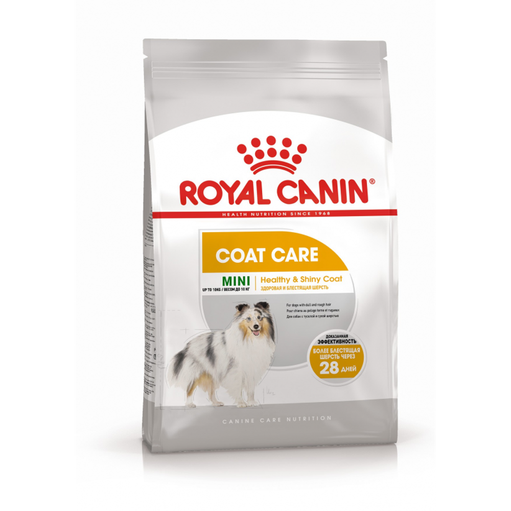 Royal Canin Mini Coat Care Корм сухой для взрослых собак мелких размеров 3кг Royal Canin Mini Coat Care Корм сухой для взрослых собак мелких размеров 3кг