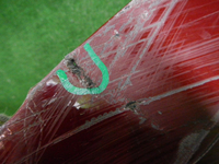 DSCN7960.JPG