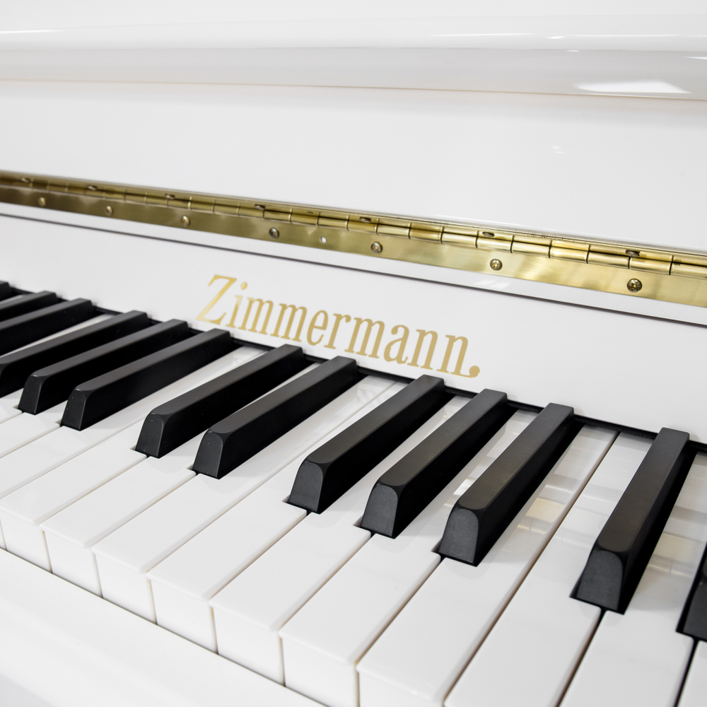 Zimmermann S6