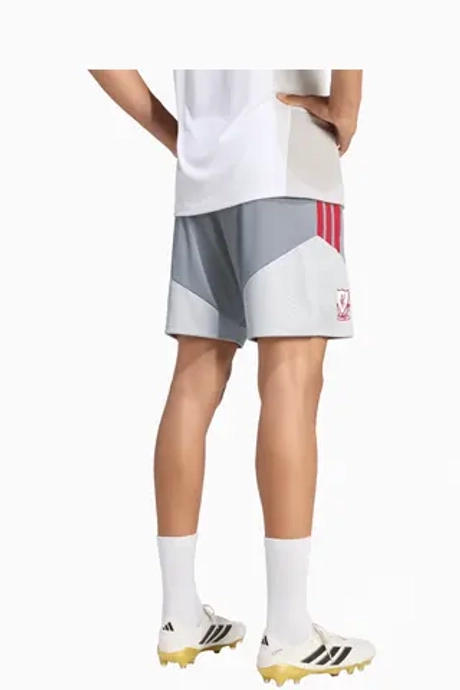 Шорты adidas Liverpool FC 26/27 Training - серый