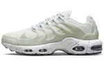 Nike Air Max Terrascape Plus White Pure Platinum