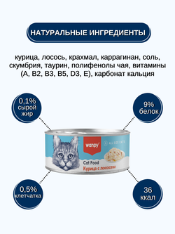 Wanpy Cat Консервы для кошек "Курица с лососем" 95 г