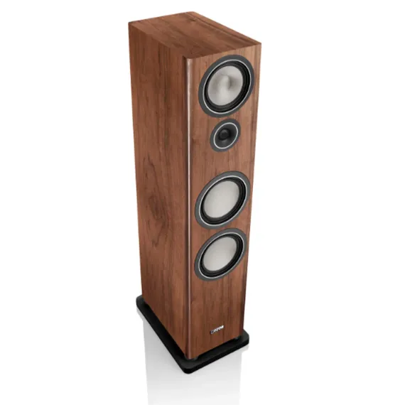 Canton Townus 100 Walnut