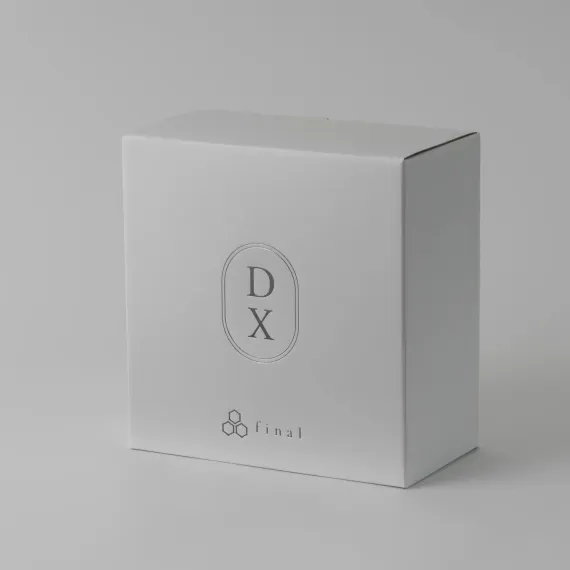 Final Audio DX3000CL Black