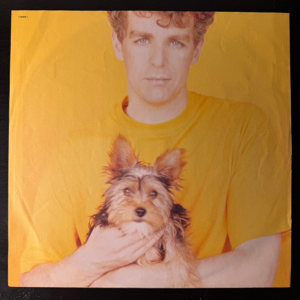 Pet Shop Boys - Introspective (Европа 1988г.)
