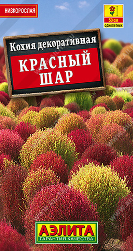 Кохия Красный шар 0,1гр Аэлита