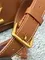 Сумка женская Louis Vuitton Soft Twist коричневый