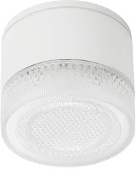 Потолочный светильник уличный Piautos A1926PF-1WH Arte Lamp