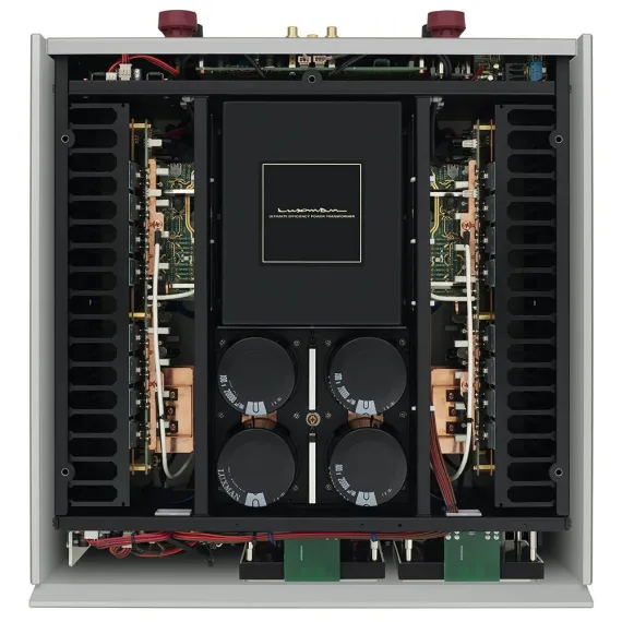 Luxman M-10X