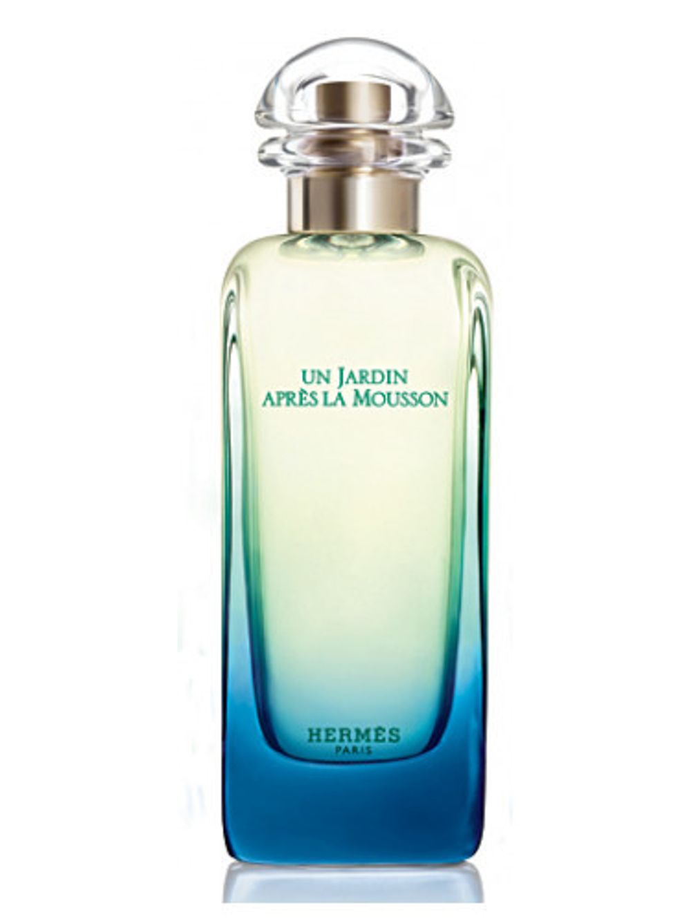 Hermes Un Jardin Apres la Mousson