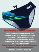 плавки Arena купальные для бассейна и пляжного отдыха