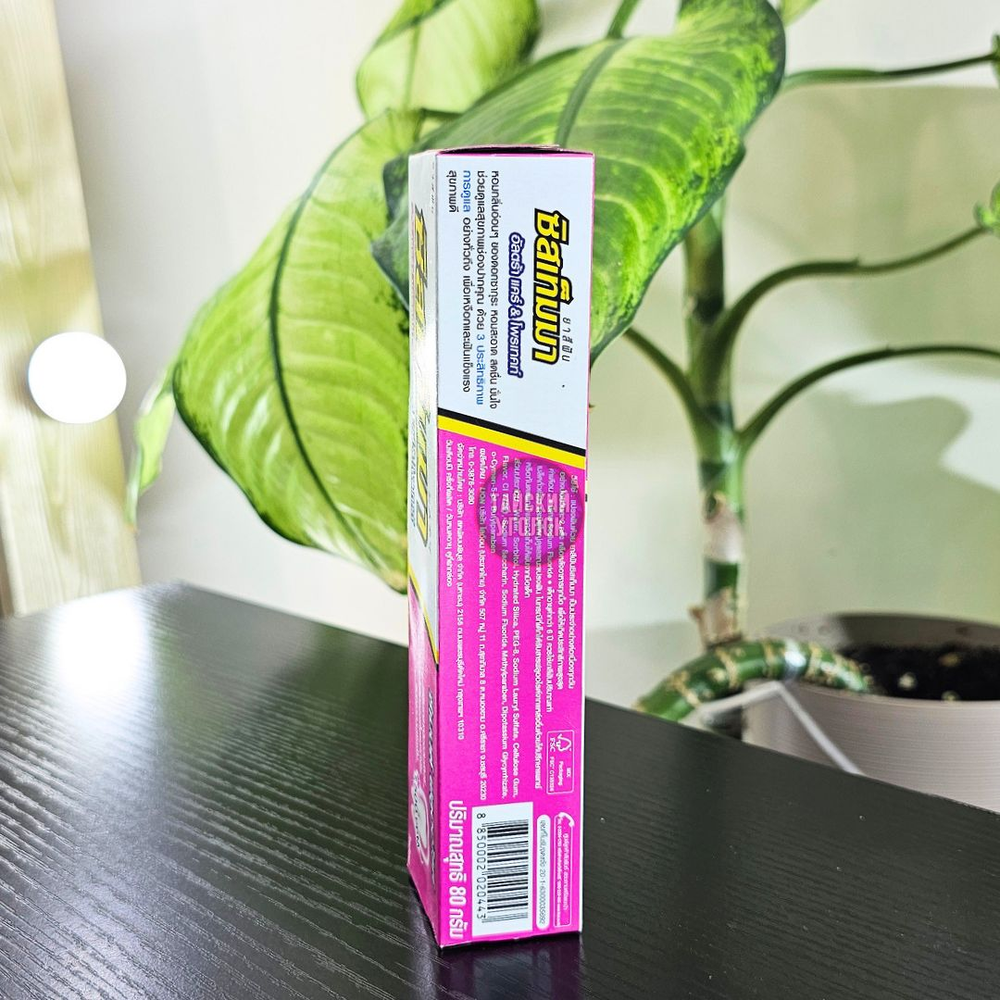 Зубная паста LION Systema Вишня в цвету 80 гр