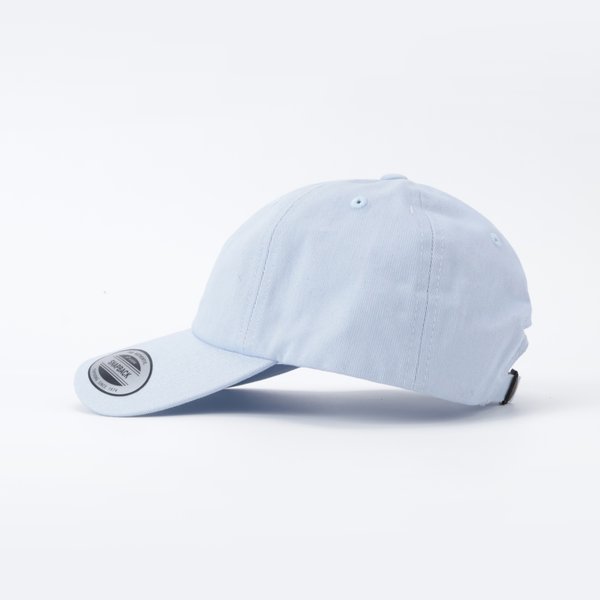 Кепка Passenger Logo (LIGHT BLUE) артикул: - купить в магазине Дайс