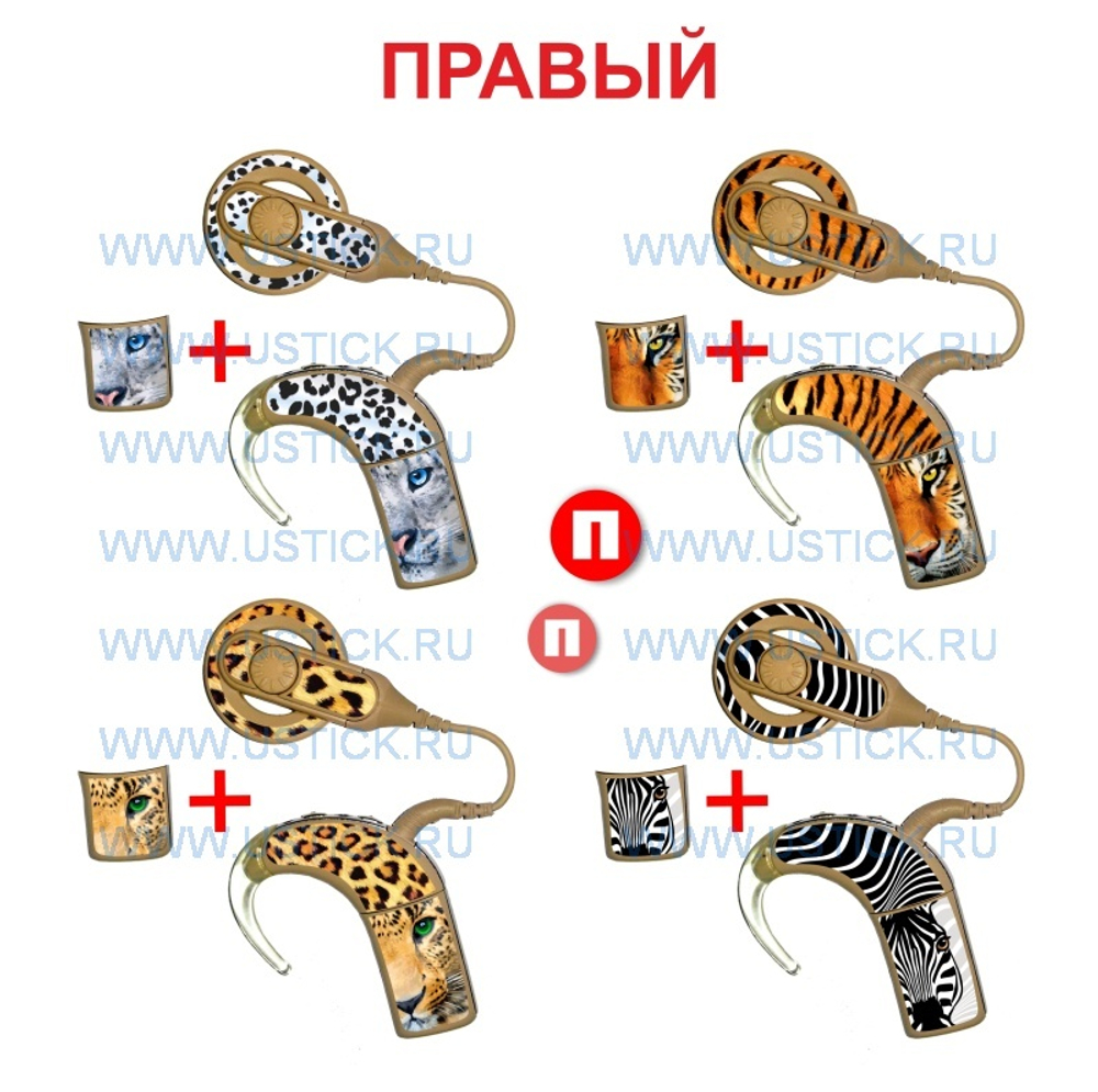 COCHLEAR5 Набор "Зоопарк" 4 в 1