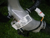 DSCN7175.jpg