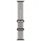Умные часы Apple Watch Ultra 4 49 мм Black Titanium Ocean Band Серый Translucent Gray