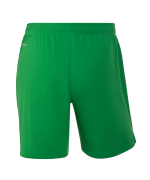Шорты вратарские JOGEL NATIONAL PerFormDRY GK Shorts, зеленый