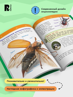 Насекомые (Энциклопедия для детского сада)