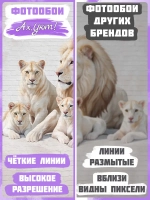 3D Фотообои львы и бежевые кирпичи