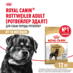 Royal Canin Rottweiller Adult Ротвейлер Эдалт Корм сухой для взрослых собак породы Ротвейлер от 18 месяцев 12кг